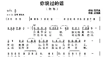 你说过的话_民歌简谱_词曲:石作良 武俊毅