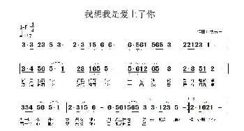 我想我是爱上了你_民歌简谱_词曲:武秀林 武秀林