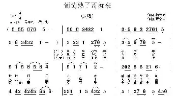 葡萄熟了哥就来_民歌简谱_词曲:杨俊尚 贾金喜