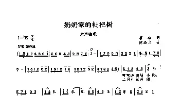 奶奶家的批把树_民歌简谱_词曲: 陈涤非