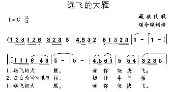 远飞的大雁_民歌简谱_词曲: 颂今