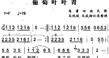 葡萄叶叶青_民歌简谱_词曲: 马凤岐、马成翔记录整理