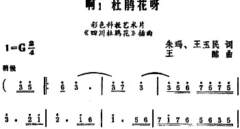 啊！杜鹃花呀_民歌简谱_词曲:朱玛、王玉民 王酩