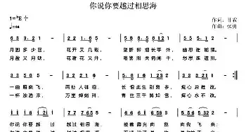 你说你要越过相思海_民歌简谱_词曲:甘霖 张勇