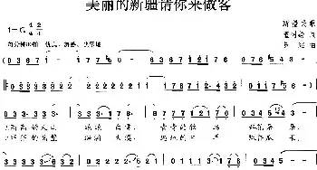 美丽的新疆请你来做客_民歌简谱_词曲:董树麟 陈继