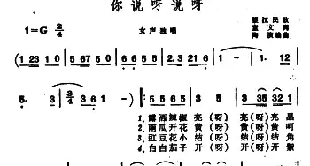 你说呀说呀_民歌简谱_词曲:童文 陶演编曲