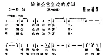 沿着金色无边的麦田_民歌简谱_词曲:陈追 王玉书