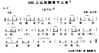 上山的鹦哥下山来_民歌简谱_词曲: