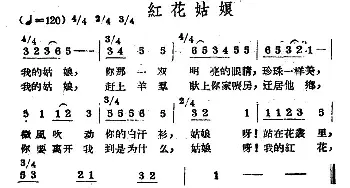 红花姑娘_民歌简谱_词曲: