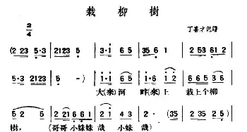 栽柳树_民歌简谱_词曲: