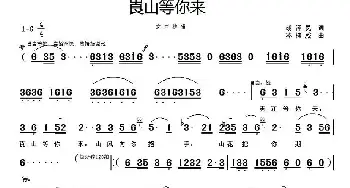 崀山等你来_民歌简谱_词曲:胡泽民 岑棣威