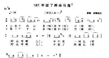 手拔了两朵马莲_民歌简谱_词曲: