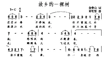 故乡的一棵树_民歌简谱_词曲:金春山 黄松哲