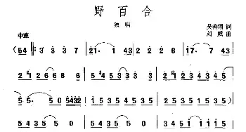 野百合_民歌简谱_词曲:吴善翎 刘威