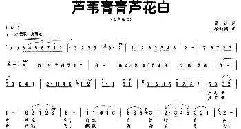 芦苇青青芦花白_民歌简谱_词曲:葛逊 徐新园