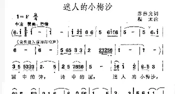 迷人的小梅沙_民歌简谱_词曲:苏伟光 程太