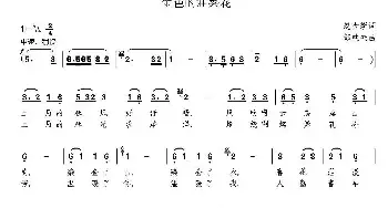 金色的油菜花_民歌简谱_词曲:赵大新 邹铁夫