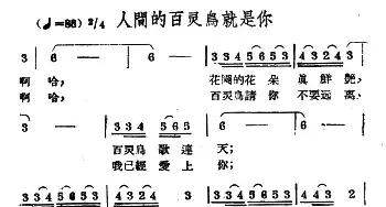 人间的百灵鸟就是你_民歌简谱_词曲: