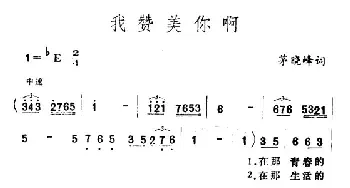 我赞美你啊_民歌简谱_词曲:茅晓峰 王酩