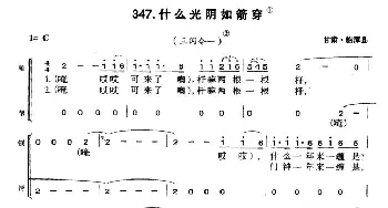 什么光阴如箭穿_民歌简谱_词曲: