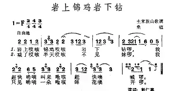 岩上锦鸡岩下钻_民歌简谱_词曲: