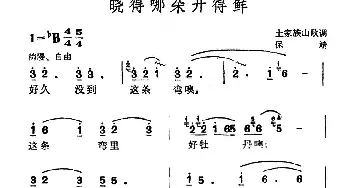 晓得哪朵开得鲜_民歌简谱_词曲: