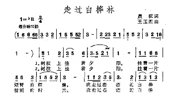 走过白桦林_民歌简谱_词曲:晨枫 王玉西