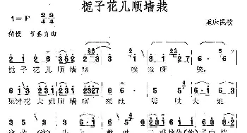 栀子花儿顺墙载_民歌简谱_词曲: