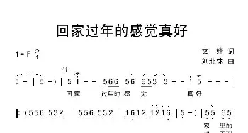 回家过年的感觉真好_民歌简谱_词曲:文婧 刘北休