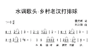 水调歌头·乡村老汉打排球_民歌简谱_词曲:雷光明 刘北休