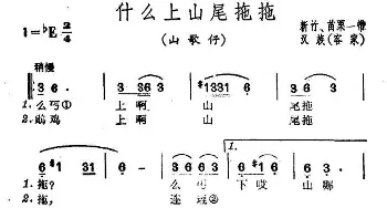 什么上山尾拖拖_民歌简谱_词曲: