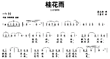 桂花雨_民歌简谱_词曲:唐生瑜 王善兰