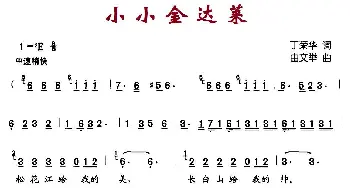 小小金达莱_民歌简谱_词曲:丁荣华 由文举