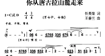 你从唐古拉山麓走来_民歌简谱_词曲:任英荣 王善兰