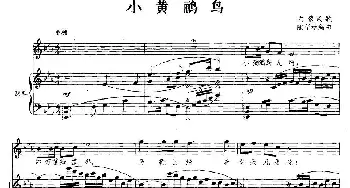 小黄鹂鸟_民歌简谱_词曲: 陆华柏编曲