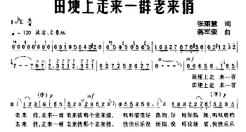 田埂上走来一群老来俏_民歌简谱_词曲:张丽慧 蒋军荣