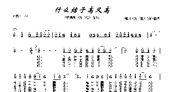 什么结子高又高_民歌简谱_词曲: