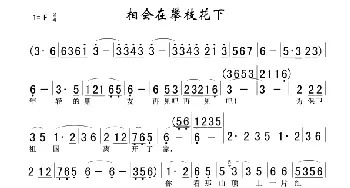 相会在攀枝花下_民歌简谱_词曲: