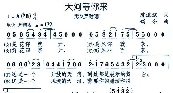 天河等你来_民歌简谱_词曲:陈道斌 颂今