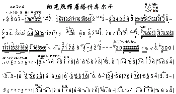 阳光照耀着塔什库尔干二胡谱_歌曲简谱_词曲: 陈刚编曲