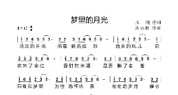 梦里的月光_歌曲简谱_词曲:王潮 周永财