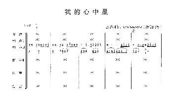 我心中的星_歌曲简谱_词曲: