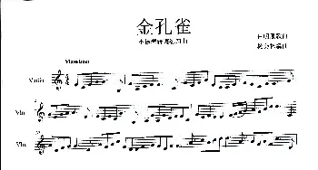 金孔雀_歌曲简谱_词曲: 杨会林