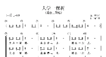 人学一棵树_歌曲简谱_词曲:江,城 陆中耀