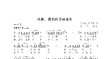 凤阳 我们美丽的家乡_歌曲简谱_词曲:肖玉钦樊传发 殷怀禄