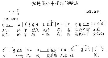 你是我心中圣洁的哈达_歌曲简谱_词曲:张遇良 张遇良