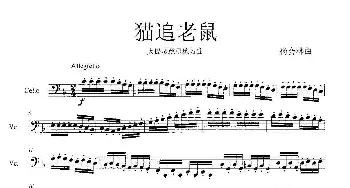 猫追老鼠_歌曲简谱_词曲: 杨会林作曲