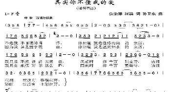 其实你不懂我的爱1_歌曲简谱_词曲:仇荣祥汪满 孙卫东