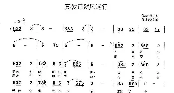 真爱随风远行_歌曲简谱_词曲:付云青 储向前