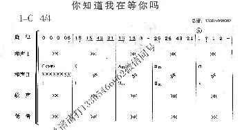 你知道我在等你吗_歌曲简谱_词曲: